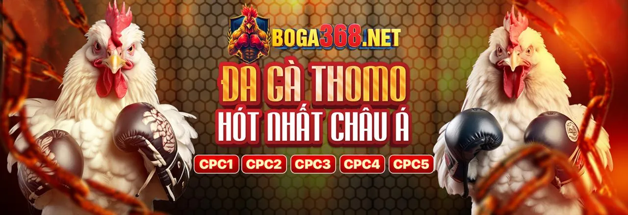 Các phương thức thanh toán an toàn tại hz 888