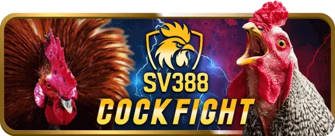 Tốc độ và ổn định