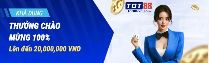 Hạn chế lưu trữ và trách nhiệm giải trình của hz 888